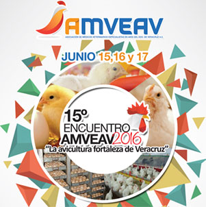 Encuentro AMVEAV 2020