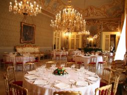 Mattia D'Angelo srl