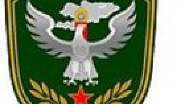 GRUPO VIGILANCIA FORTE LTDA