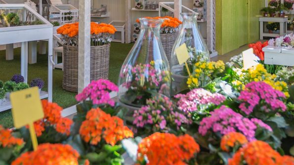 Garden Center Cornnatur de TECSALSA