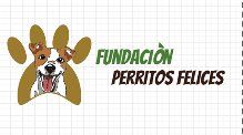 Lanzamiento web Fundación Perritos Felices Col 2016