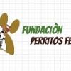 Lanzamiento web Fundación Perritos Felices Col