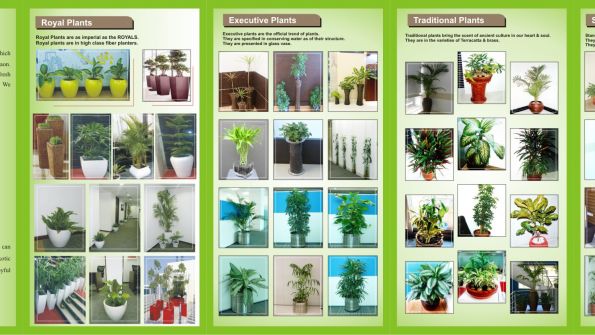 Green Earth Horticulture Solutions Pvt. Ltd.