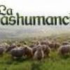 FERIA DE LA TRASHUMANCIA