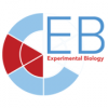 EB Meeting Chicago