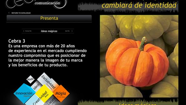 CEBRA3COMUNICACION