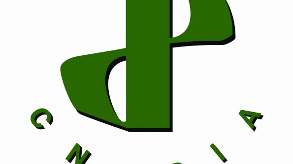 China Nantion Household Paper Industry Association
