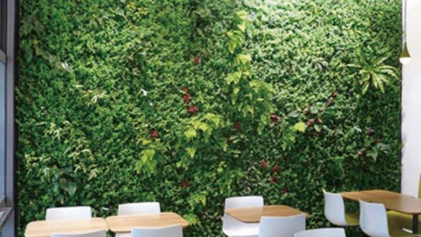 IDEAS VERDES & SOLUPLASTIC
