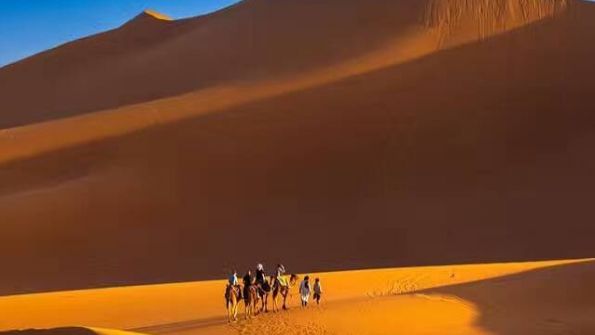 Rove Morocco Travels.