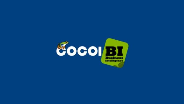 COCOIBI S.A