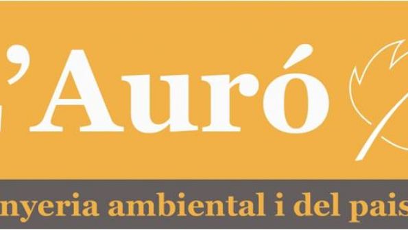 Auro