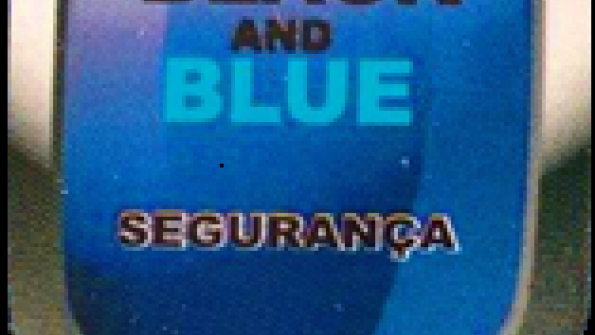 BLACK AND BLUE SEGURANÇA PORTARIA CONSERVAÇÃO E LIMPEZA