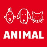 ANIMAL 2018