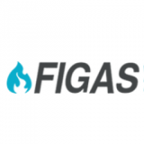 FIGAS - Foro Internacional del Gas y Energía 2018