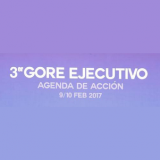 Gore-Ejecutivo 2018