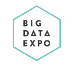 Big Data Expo 2020