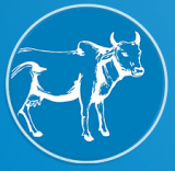 Dairy Industry Conference 2020