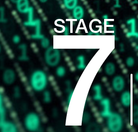 Stage 7