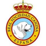 Exposición Internacional Canina de la RSCE 2019