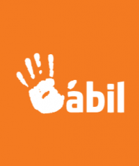 ABIL PRODUCCIONES LIMITADA