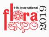 International Flora Expo 2020