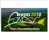 ExpoForest – Brazilian Forest Fair 2022