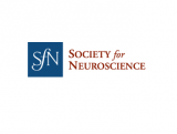 Society for Neuroscience 2022