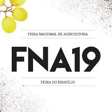 FNA19