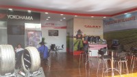 ar10 stand