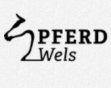 Pferd Wels 2023