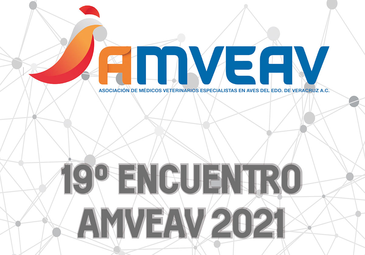 Encuentro AMVEAV