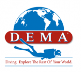 Dema Show 2020