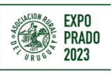 Expo Prado 2020