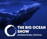 The Big Ocean Show 2022