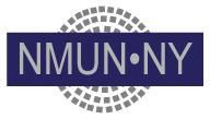 National Model United Nations Conference (NMUN-NY) 2024