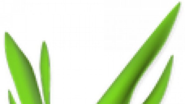 Graphium