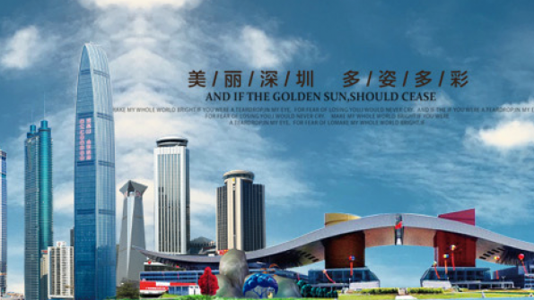 China Star Consulting Company