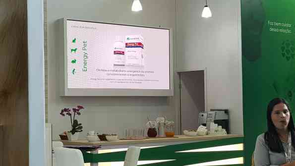MGM Assessoria em Eventos