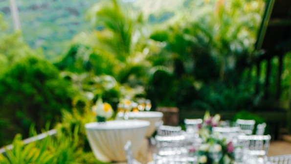 Pronto Catering