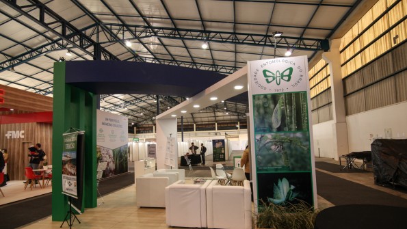 QUALITTÁ STANDS