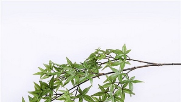 Sharetrade Artificial Plant Manufacturer