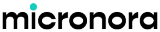 MICRONORA 2010