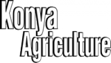 Konya Agriculture Fair 2025