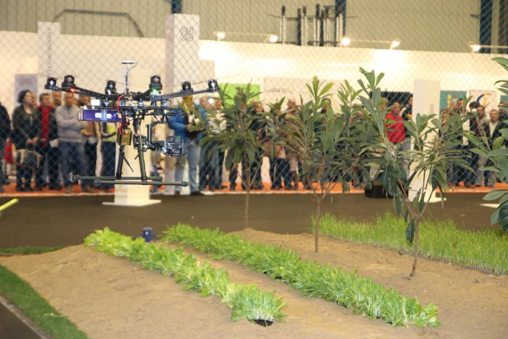Agroexpo Area Exhibicion