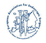 EAES - Exhibition Details
