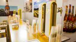 Stand 120 m2 FERIA DE LLEIDA (Lleida)