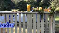 Stand 90 m2 Toluca de Lerdo