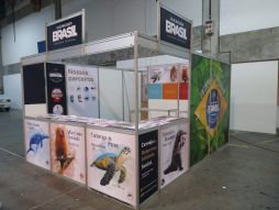 Pintarte