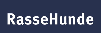 RasseHunde - جزئیات نمایشگاه