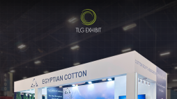 Egyptian Cotton